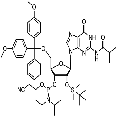 5'-O-(4,4-Dimetoxitritil)-2'-O-[(tert-butil)dimetilsilil]-N-isobutirilguanosina-3'-(2-zianoetil-N,N-diisopropil)fosforamitoa