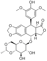 Etoposida