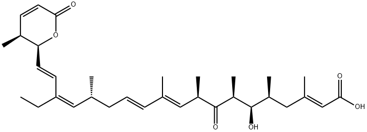 Leptomizina B