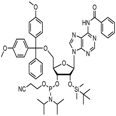 N-Benzoil-5'-O-(4,4-Dimetoxitritil)-2'-O-[(tert-butil)dimetilsilil]adenosin-3'-(2-zianoetil-N,N-diisopropil)fosforamidita